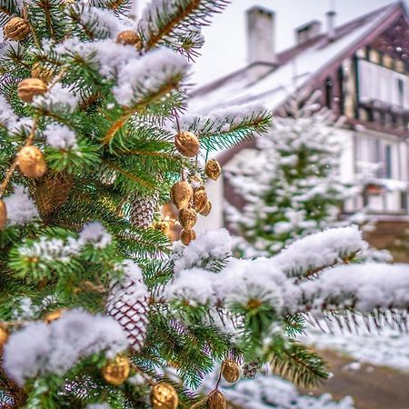 Отель Усадьба Беловежское Поместье Каменюки Экстерьер фото